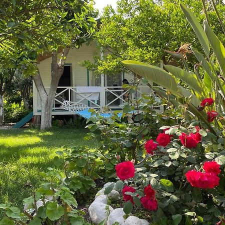 Bellerofon Beach Otel Cirali Exterior foto