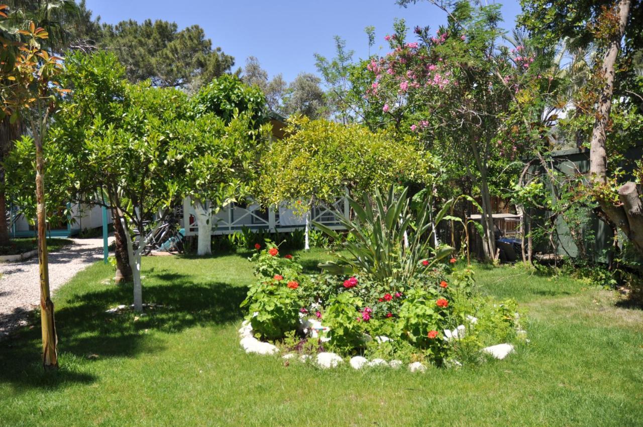 Bellerofon Beach Otel Cirali Exterior foto