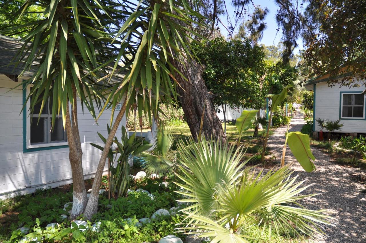 Bellerofon Beach Otel Cirali Exterior foto