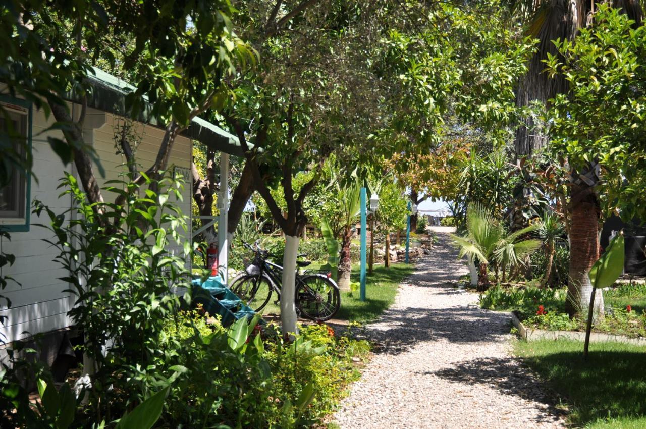 Bellerofon Beach Otel Cirali Exterior foto