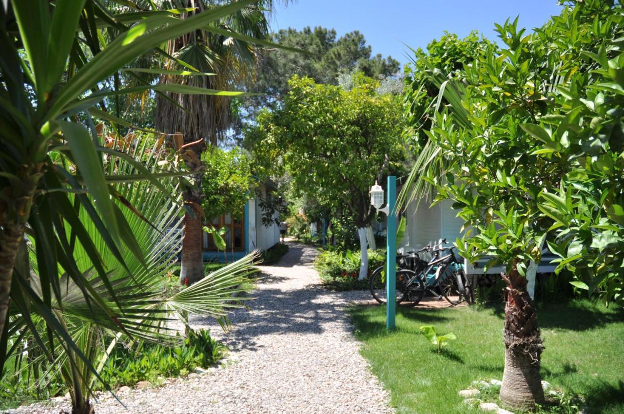 Bellerofon Beach Otel Cirali Exterior foto