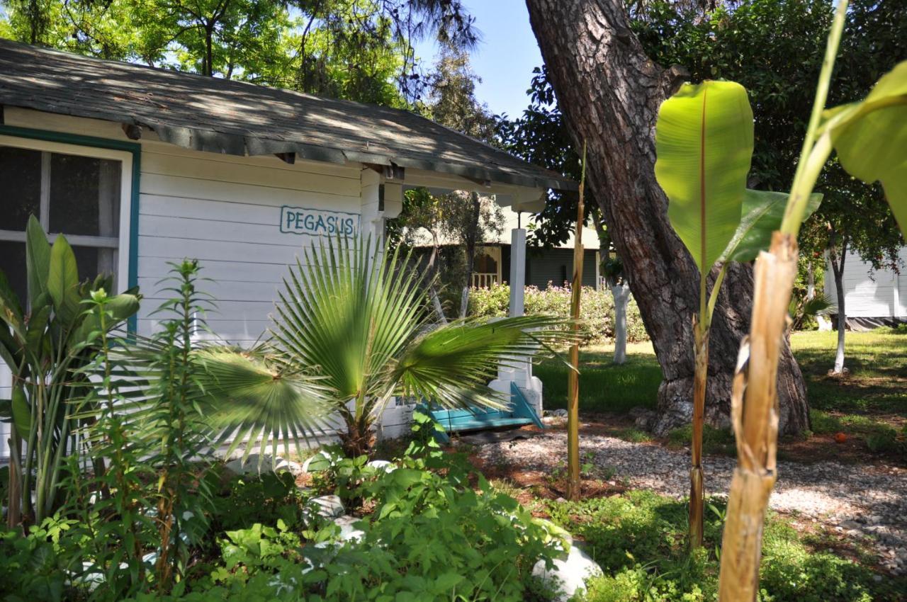 Bellerofon Beach Otel Cirali Exterior foto