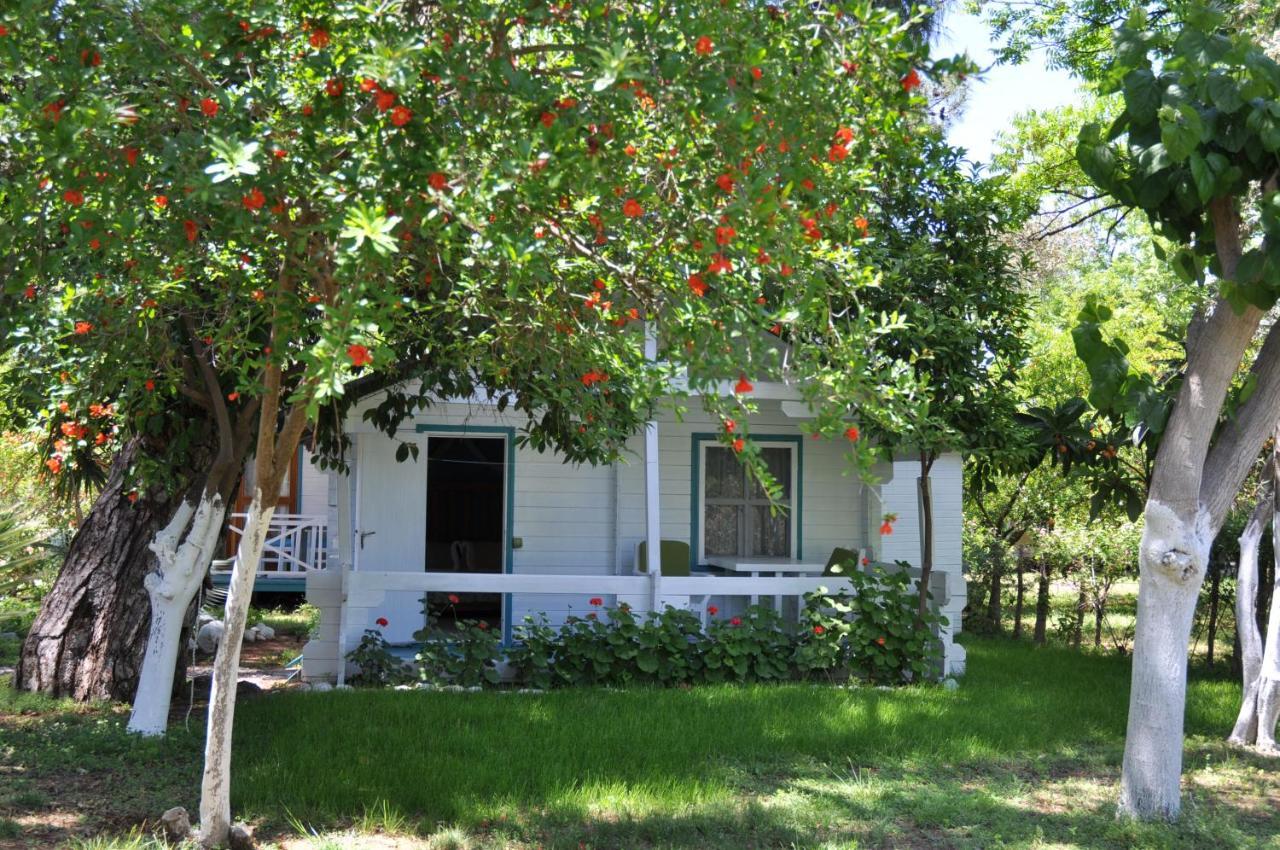 Bellerofon Beach Otel Cirali Exterior foto