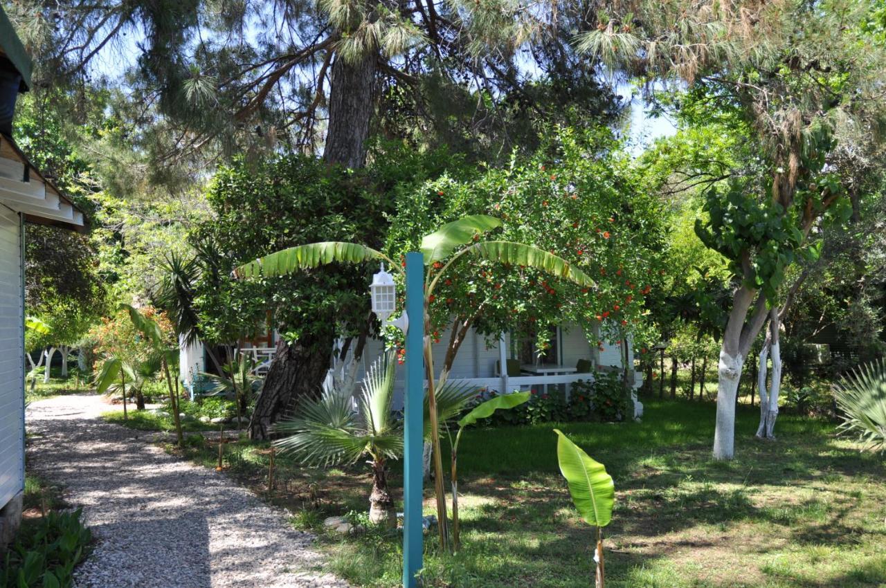 Bellerofon Beach Otel Cirali Exterior foto