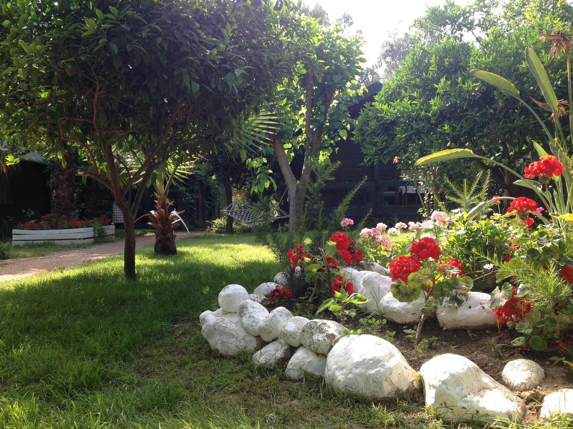Bellerofon Beach Otel Cirali Exterior foto