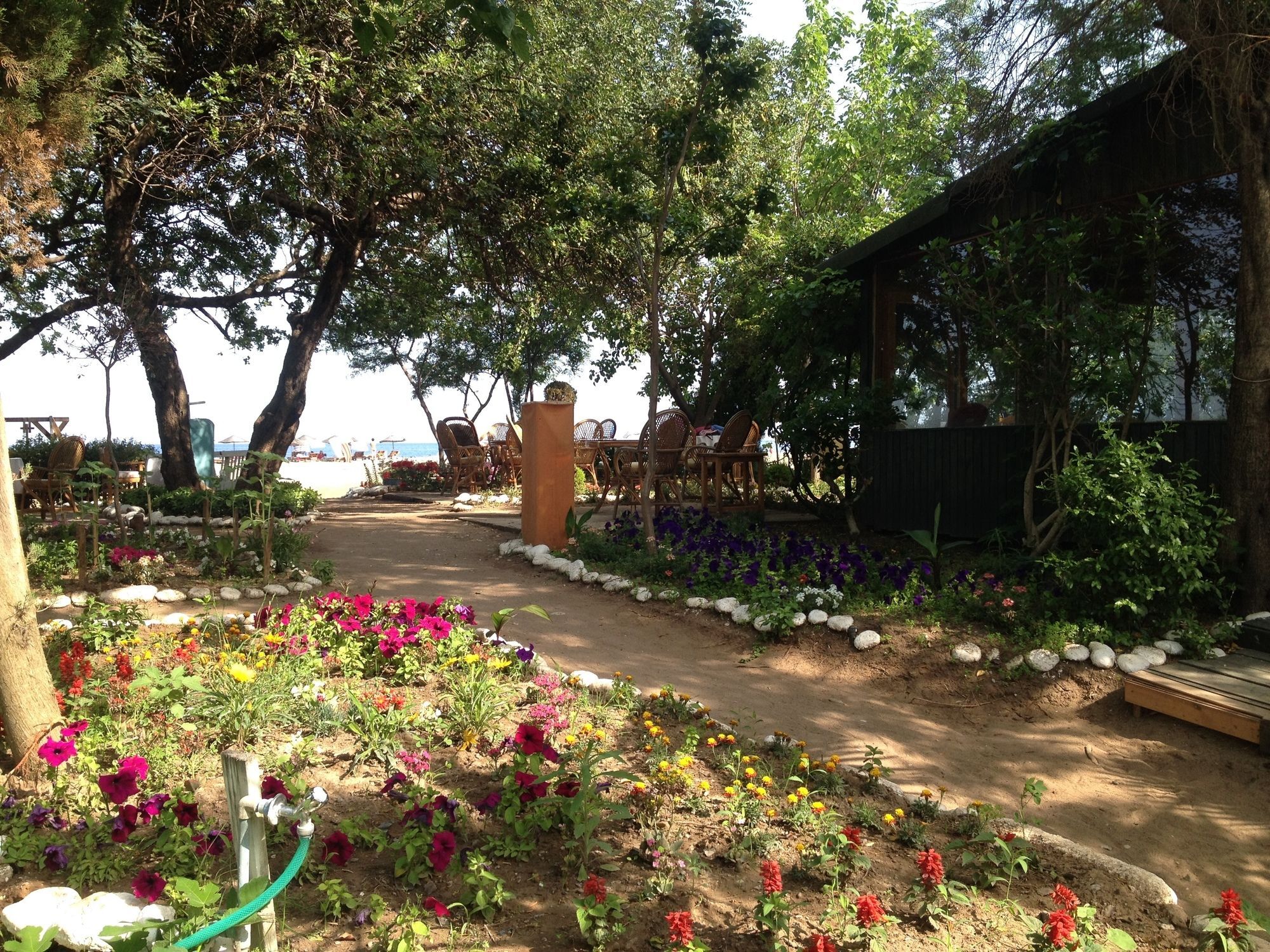 Bellerofon Beach Otel Cirali Exterior foto